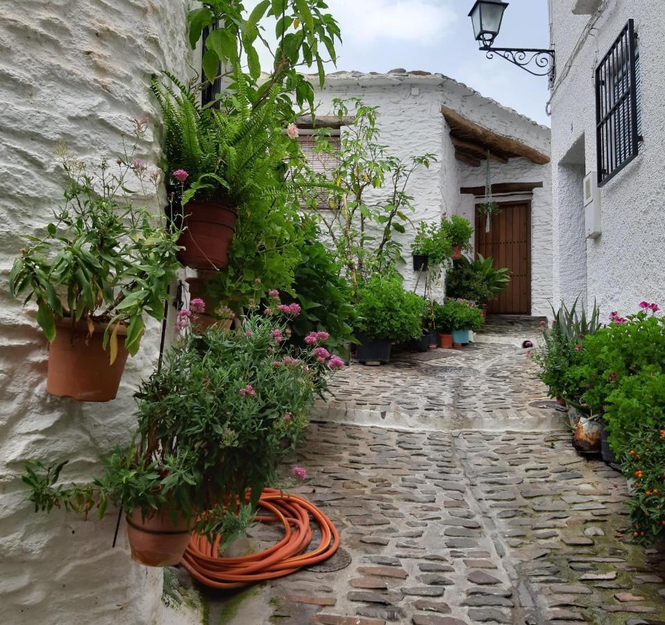 Apartamento Casa Martina Pampaneira Exterior foto